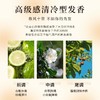 白茶洗发水沐浴露护发素套装五星酒店宾馆民宿理发店专用厂家批发 商品缩略图2