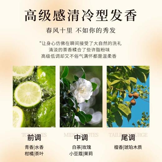 白茶洗发水沐浴露护发素套装五星酒店宾馆民宿理发店专用厂家批发 商品图2