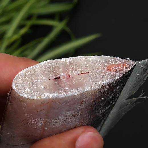 自营（美厨）-国产带鱼段400g/袋*5袋 顺丰包邮 商品图3