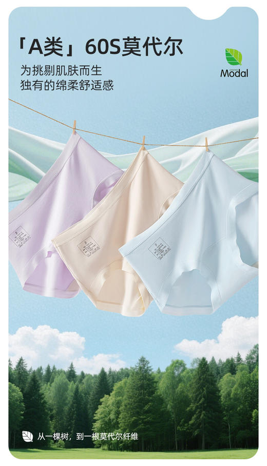 ADY668兰精莫代尔内裤 商品图2