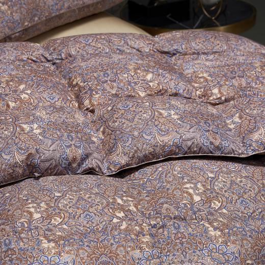【直送到家】宜庭 卢浮宫大白鹅90%加厚冬被 200*230cm1300g 商品图1