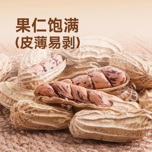 悠享佳云南七彩花生500g带壳花生当季新货特产黑花生炒货休闲零食 商品图3