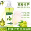 橄榄按摩油推拿全身爽滑润肤通经活络美容院spa刮痧开背现货批发 商品缩略图2
