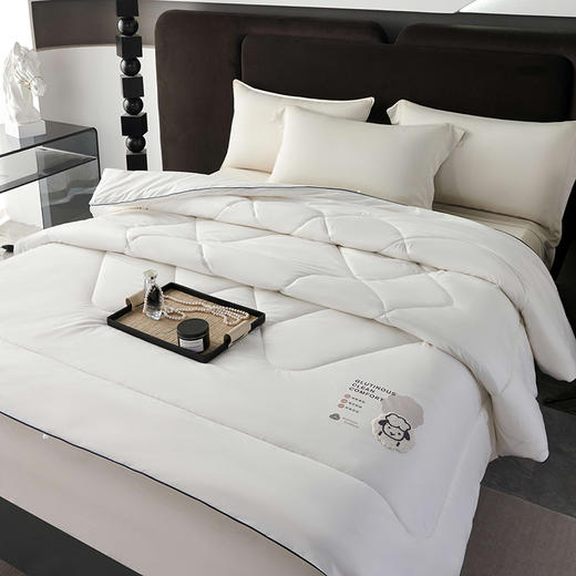 澳洲羊毛冬被 | 触感亲肤柔软、保暖性好、蓬松软糯、轻盈舒适、四季被/冬被两种选择 商品图0