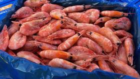 北极甜虾·头籽