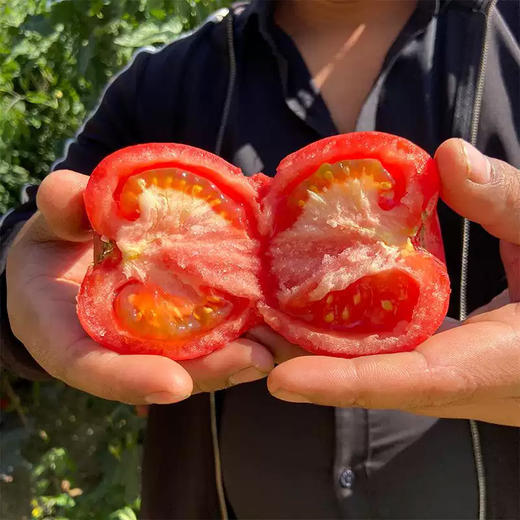 【攀枝花沙瓤西红柿】自然熟0催熟，沙瓤爆汁，童年味力觉醒！ 商品图8
