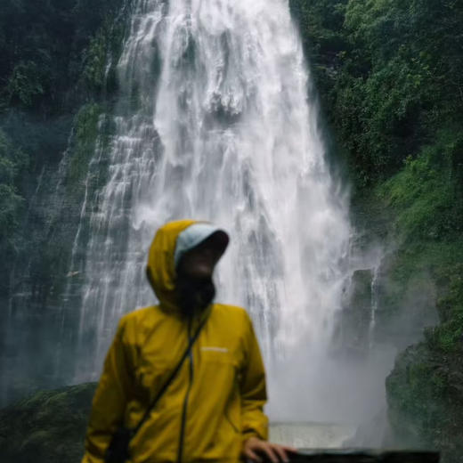 云南元旦| 1.1-1.3哀牢山无量山守望树冠精灵科考亲子营3天2晚，探寻秘境瀑布，寻找国家一级保护动物长臂猿灰叶猴，夜观昆虫观星！趣野星球摄影师带队深度小团！ 商品图6