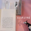 隐墙（末日女性文学典范 女性主义经典 一人一狗一猫一牛的末日乌托邦） 商品缩略图1