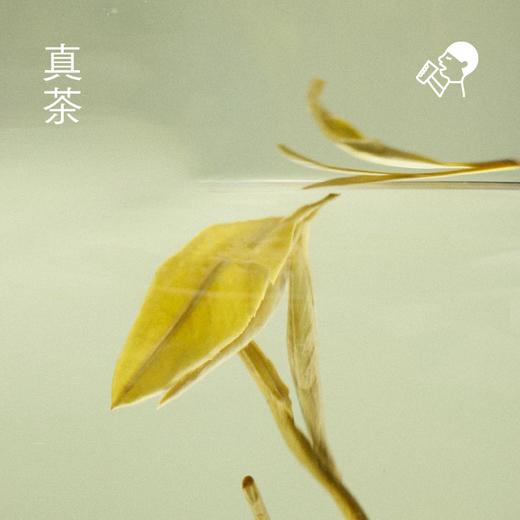 【喜茶小奶茉/茉莉浓抹牛乳茶】 真奶真茶+0奶精 完美复刻，开盖即享！ 商品图3