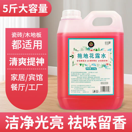 地板清洁剂万能家用洗液瓷砖地板拖地神器香型强力去污除垢清洗剂 商品图2