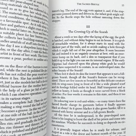 法布尔昆虫记 英文原版 Fabre's Book of Insects 英文版进口原版英语书籍 商品图3