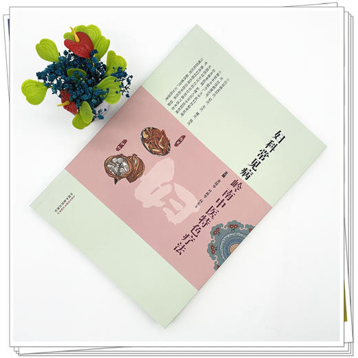 妇科常见病岭南中医特色疗法 黄绮华 叶淑华 向东方 主编 中国中医药出版社 针灸推拿医师 灸法 拔罐 贴压 书籍 商品图1