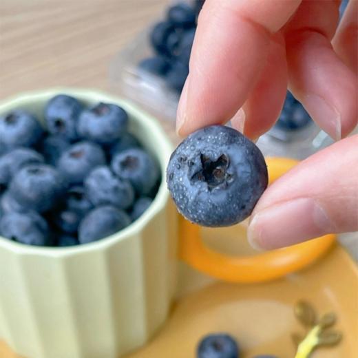 菜头商城 云南澄江抚仙湖L25花香蓝莓（顺丰空运） 商品图2