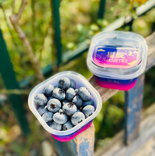 幸运杯蓝莓新鲜到货~自带花香味；又脆又甜真好吃；还自带小叉子哦，设计得真贴心~ 商品图5