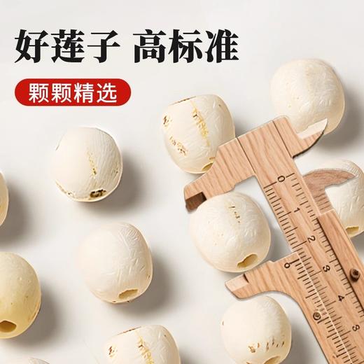 在菌屋 正宗湘潭白莲200g 无需泡发 炖煮粉糯不苦 商品图1