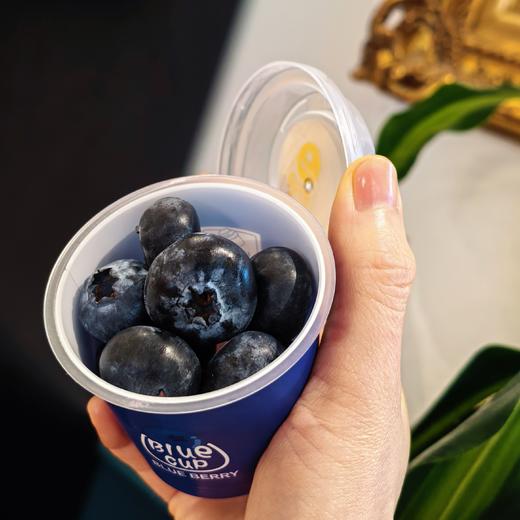 [屁侠推荐]云南 花香蓝莓健康养颜 果香浓郁 甜脆超好吃 商品图0