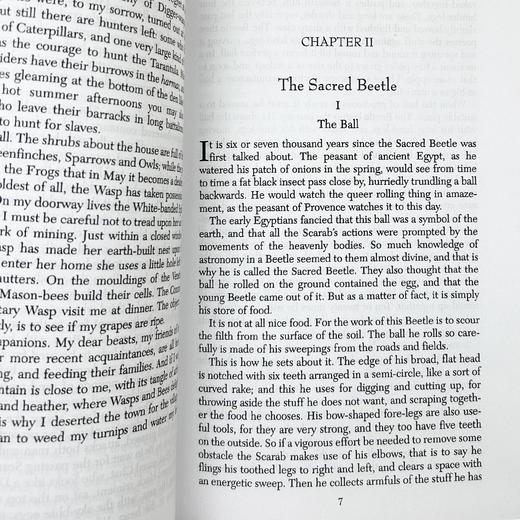 法布尔昆虫记 英文原版 Fabre's Book of Insects 英文版进口原版英语书籍 商品图2