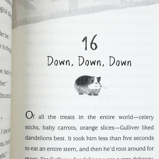 Collins 你好宇宙 英文原版 Hello Universe 纽伯瑞金奖 中小学生课外小说阅读 儿童文学插画小说 个性与友谊 英文版进口英语书傻狗温迪克 商品图3