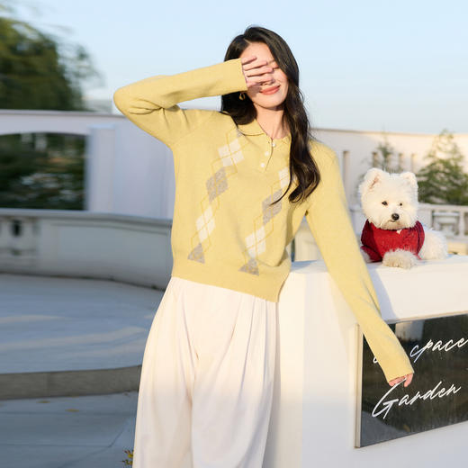 三彩2025冬季新款复古菱格纹Polo衫针织衫长袖套头毛衫上衣S 商品图2