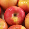 阿克苏有机苹果/水蜜桃苹果/爱妃苹果/红富士苹果（基地直发-顺丰快递）|多种规格，来自新疆阿克苏，生产者：贺章伟（合作生产，公平贸易） 商品缩略图6