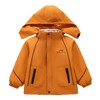 男童冲锋衣三合一可拆卸秋冬款2025新款冬季中大儿童男孩秋装外套 商品缩略图4