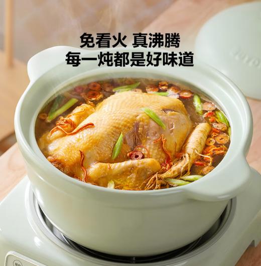 北鼎 陶瓷电炖锅套装 3.5L【浅杉绿】 商品图3