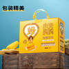 【黄糯玉米】皮薄软糯会拉丝 来自东北黑土地的香甜 10支/箱 商品缩略图5