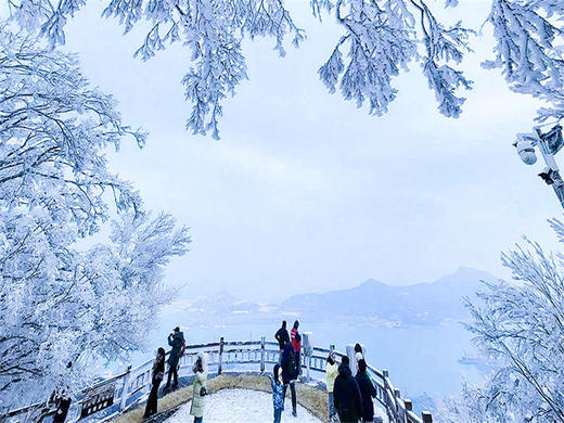 元旦3日【连云港】江苏版里约热内卢の海上云台-羊山岛-琅琊古城-连云老街-淄博海岱楼-八大局 商品图6