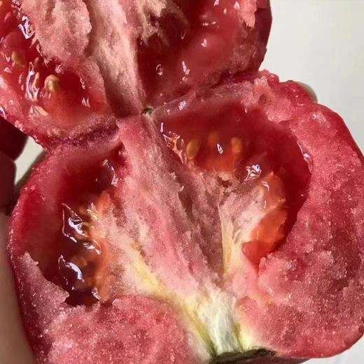 【攀枝花沙瓤西红柿】自然熟0催熟，沙瓤爆汁，童年味力觉醒！ 商品图9