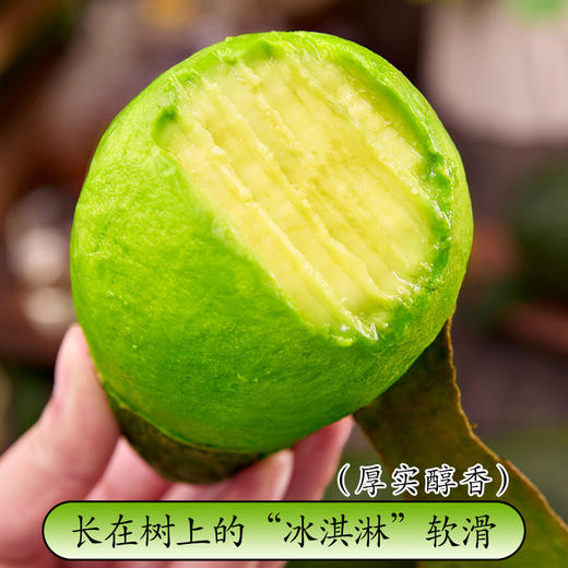 【顺丰发货】品克顿即食牛油果 无黑丝 自然熟 精品A级果肉 果大饱满 商品图2