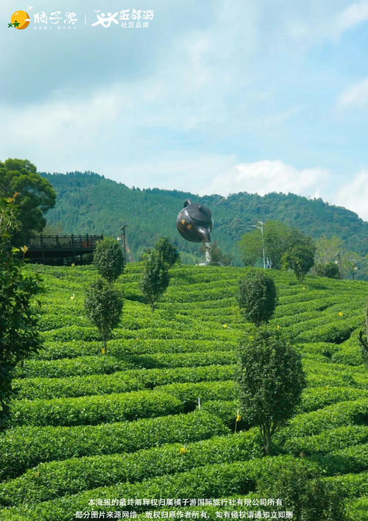 【仙湖花海】英德峰林晓镇+积庆里仙湖+T3有机茶园二日游 商品图2