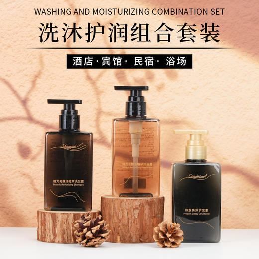 官方正品隆力奇洗发水沐浴露护发素300ml洗护套装酒店用品消耗品 商品图0