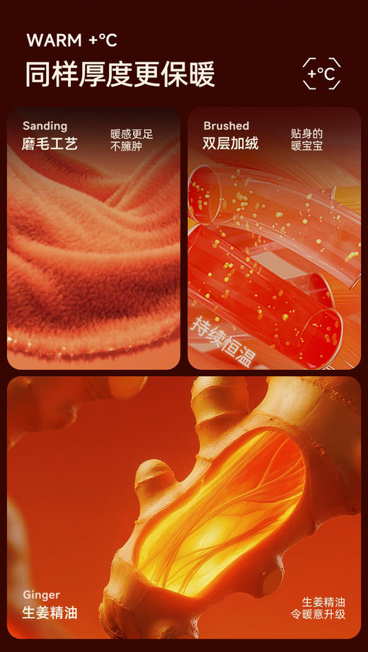 ADY2885生姜暖绒内裤 商品图4