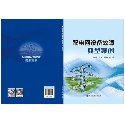 配电网设备故障典型案例 商品图2