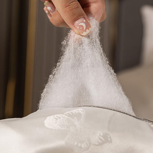 多喜爱 莎缇娜纯蚕丝子母被(珍珠白)S码【纯蚕丝子母被】【大提花工艺】 商品图2