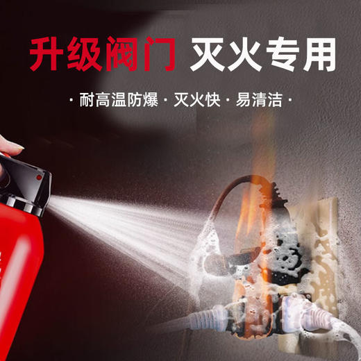 【货号04719】车载家用水基灭火器 水雾泡沫车用灭火器消防高效阻燃 商品图2