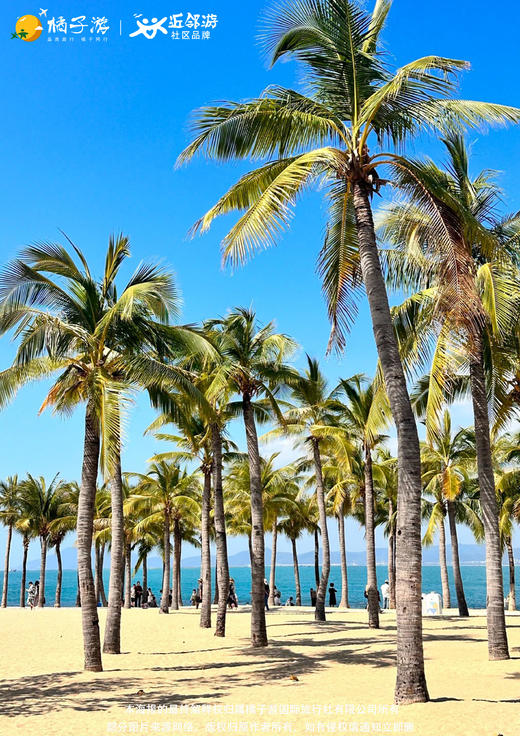 【臻玩双岛】海南双飞5天（广州往返） 商品图2