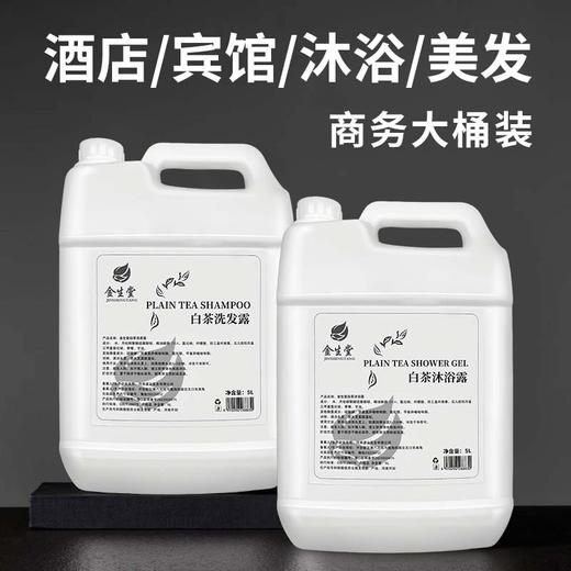 20kg酒店理发店浴场专用大桶白茶洗发水沐浴露补充装包邮一件起批 商品图0