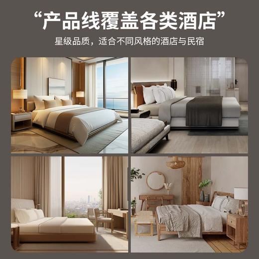 星级酒店一次性牙刷带牙膏宾馆民宿牙刷软毛一次性洗漱用品剃须刀 商品图3