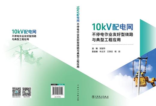 10kV配电网不停电作业友好型线路与典型工程应用 商品图2