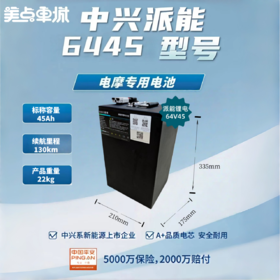 【美点特惠】6445 中兴派能 武汉到店 全新直购