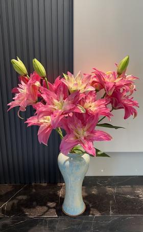 宝莲灯重花瓣百合5支