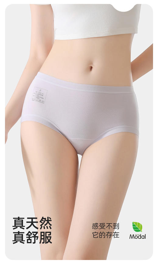 ADY668兰精莫代尔内裤 商品图9