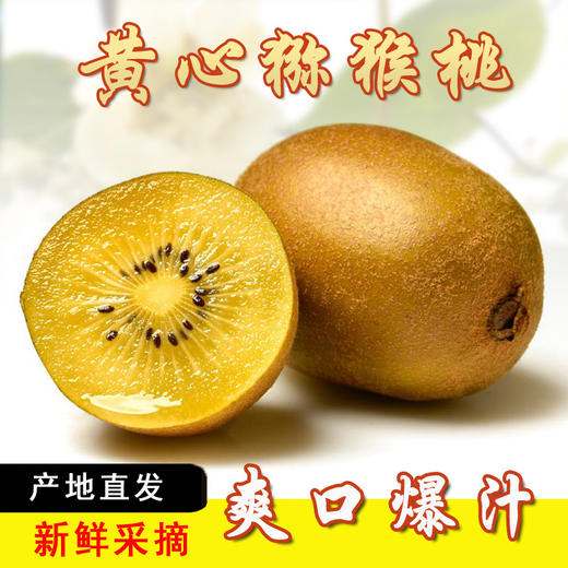 【清香鲜美❗️爽口爆汁】四川黄心猕猴桃新鲜水果直发当季整箱奇异果超甜包邮美味爆甜。jb 商品图0