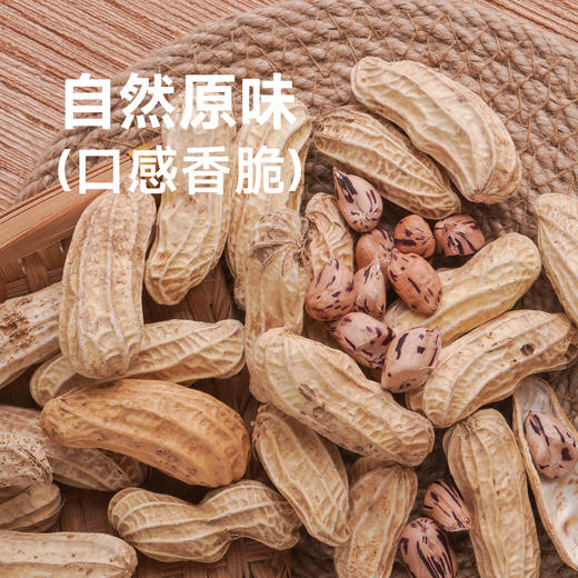 悠享佳云南七彩花生500g带壳花生当季新货特产黑花生炒货休闲零食 商品图2