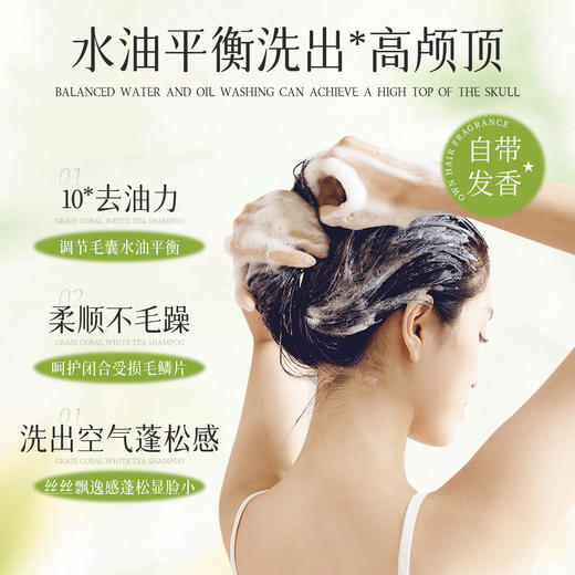 艾叶艾草洗发水去屑控油大瓶装500ml酒店宾馆民宿专用洗浴用品批 商品图2