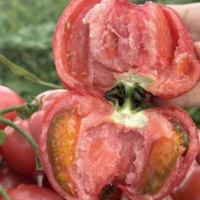 预售7-10天发货 做菜超好吃！！！来自高原种植的【花香番茄】，自然成熟，软糯多汁，做菜西红柿，炒菜做汤更香！！