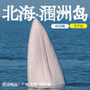 【 冬令营·1月24日-2月5日】6天5晚 · 涠洲观鲸圣地-火山岛亲子探秘之旅，国内唯一观鲸点+三娘湾粉海豚+岛民变形记+家长citywalk自由行... 商品缩略图2