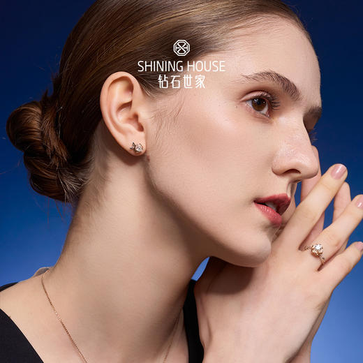 【极慕之星】【门店同款】钻石世家 18K金钻石耳饰 花好月圆系列钻石耳饰 商品图4