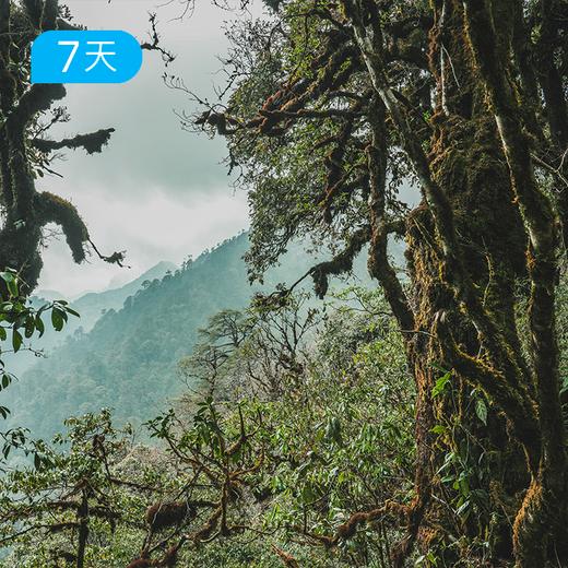 跨年迎新｜第一届高黎贡100公里徒步大会 重走茶马古道和中国远征军之路 7日 商品图2